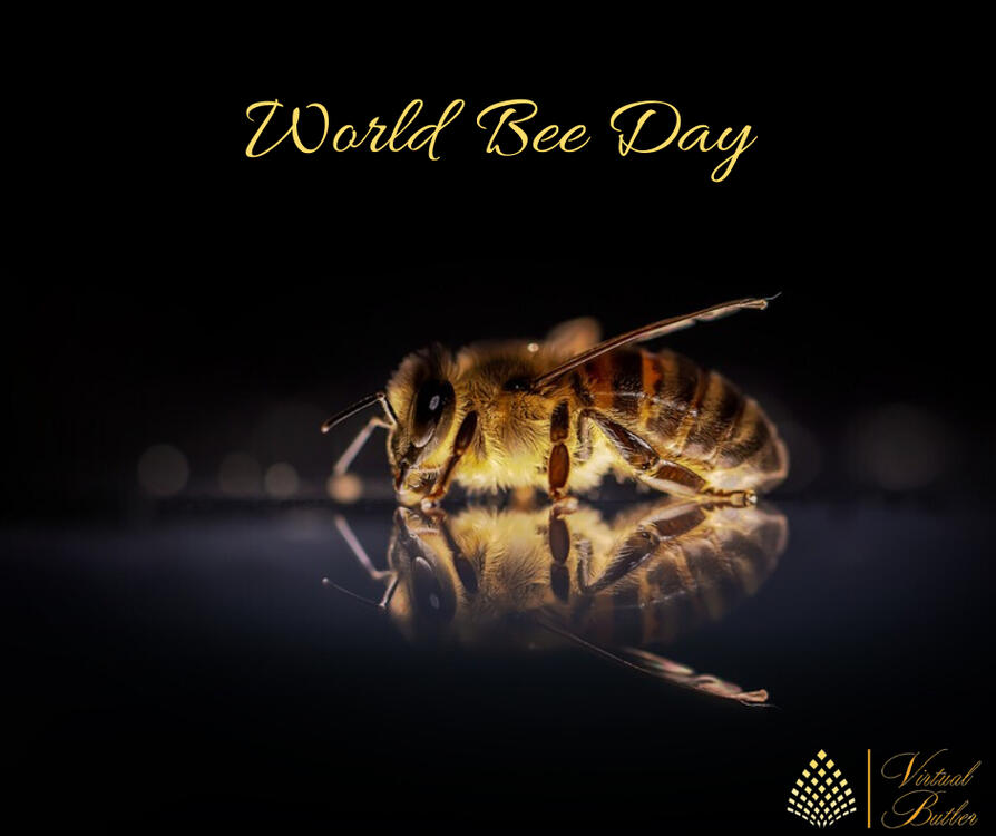 World Bee Day